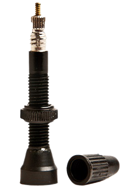 Alienation Tubeless Valve