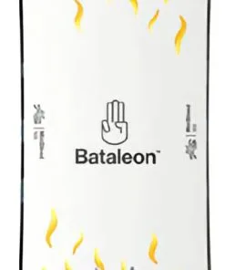 Bataleon Minishred Snowboard -Surf Sales bataleon minishred snowboard nv