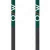 Fischer BC Carbon Cross Country Ski Poles