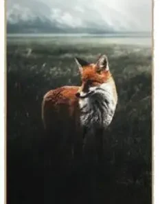 Jart Adrien Bulard Pro Skateboard Deck -Surf Sales jart adrien bulard pro skateboard deck cn