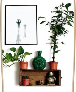 Long Island Cruiser Skateboard -Surf Sales long island cruiser skateboard va 1