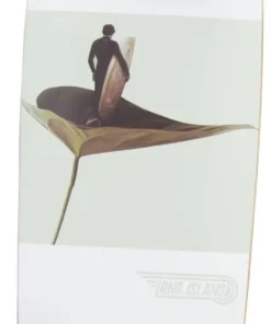 Long Island Surfskate -Surf Sales long island surfskate f3 9