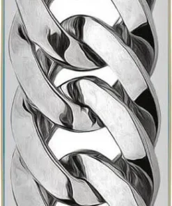 Plan-B Chain Skateboard Deck