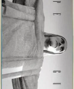 Plan-B Cristo Felipe Skateboard Deck