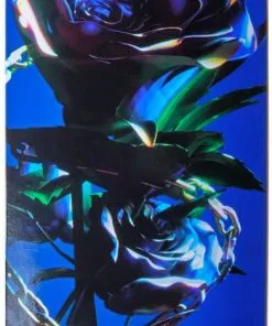 PRIMITIVE Paul Rodriguez Eternity Complete Skateboard