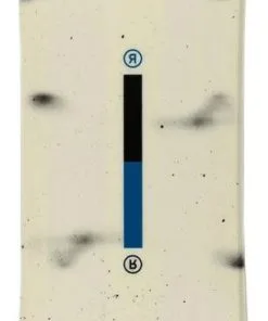 RIDE Mtnpig Snowboard