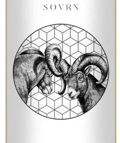 SOVRN Nature Of Wars Skateboard Deck