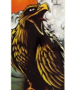 Tony Hawk 180 Series Complete Skateboard 11 Tony Hawk 180 Series Complete Skateboard -Surf Sales tony hawk 180 series complete skateboard 9f