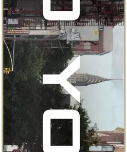Zoo York City Complete Skateboard