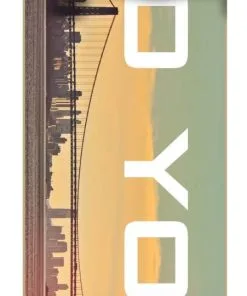 Zoo York City Complete Skateboard -Surf Sales zoo york city complete skateboard hi