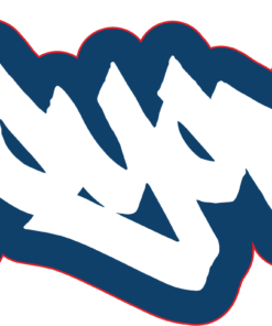 Zoo York Logo Sticker