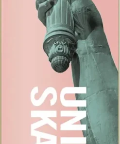 Zoo York Skateboard Deck